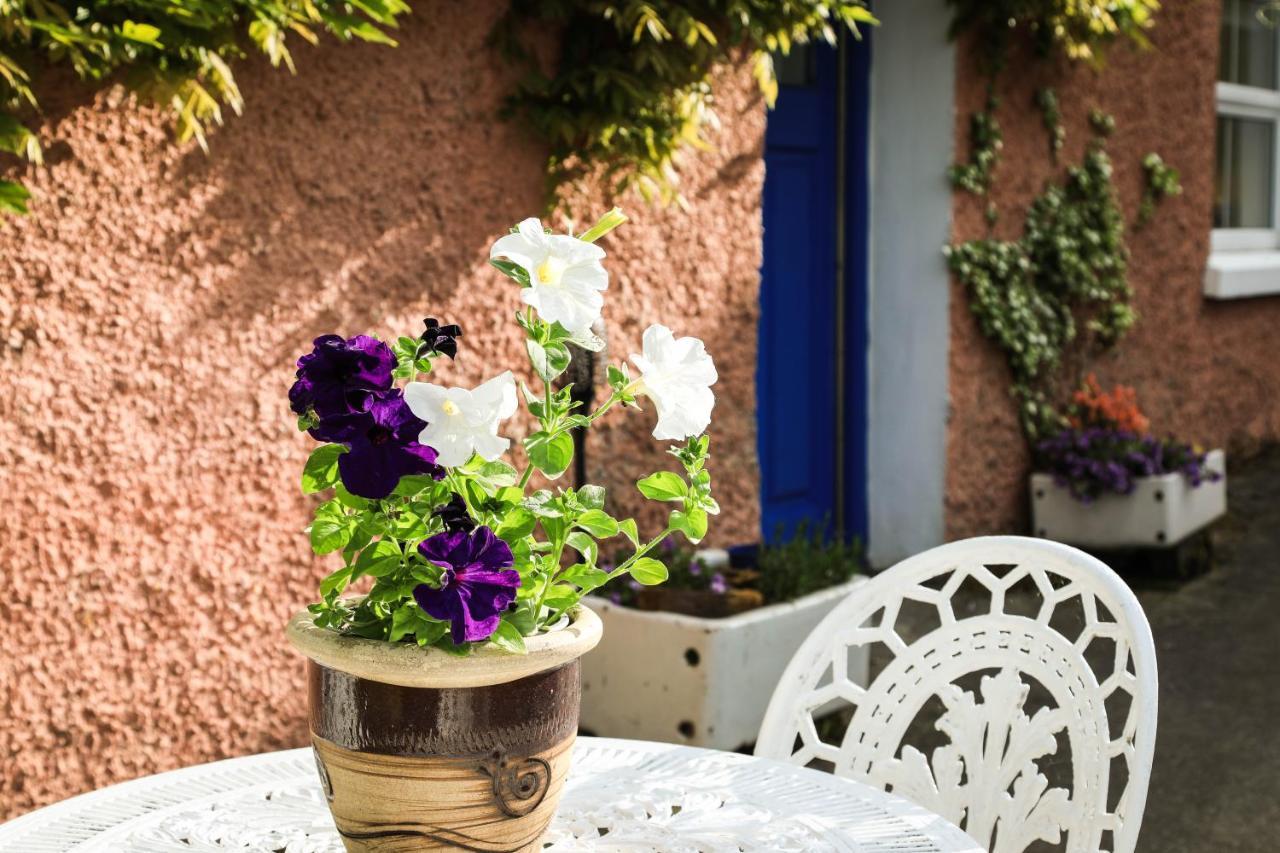 Wisteria Cottage Ballyconnell  Exterior foto